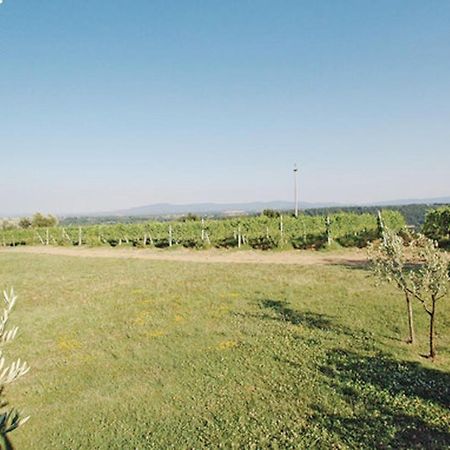 Agriturismo Fattoria Il Piano - Appartamento Aia - San Gimignano Exterior foto