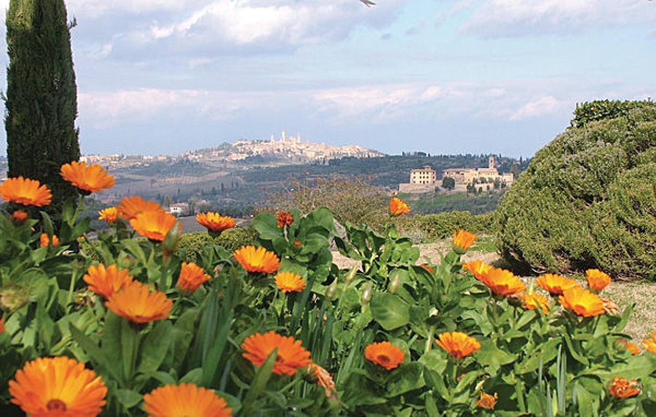 Agriturismo Fattoria Il Piano - Appartamento Aia - San Gimignano Exterior foto